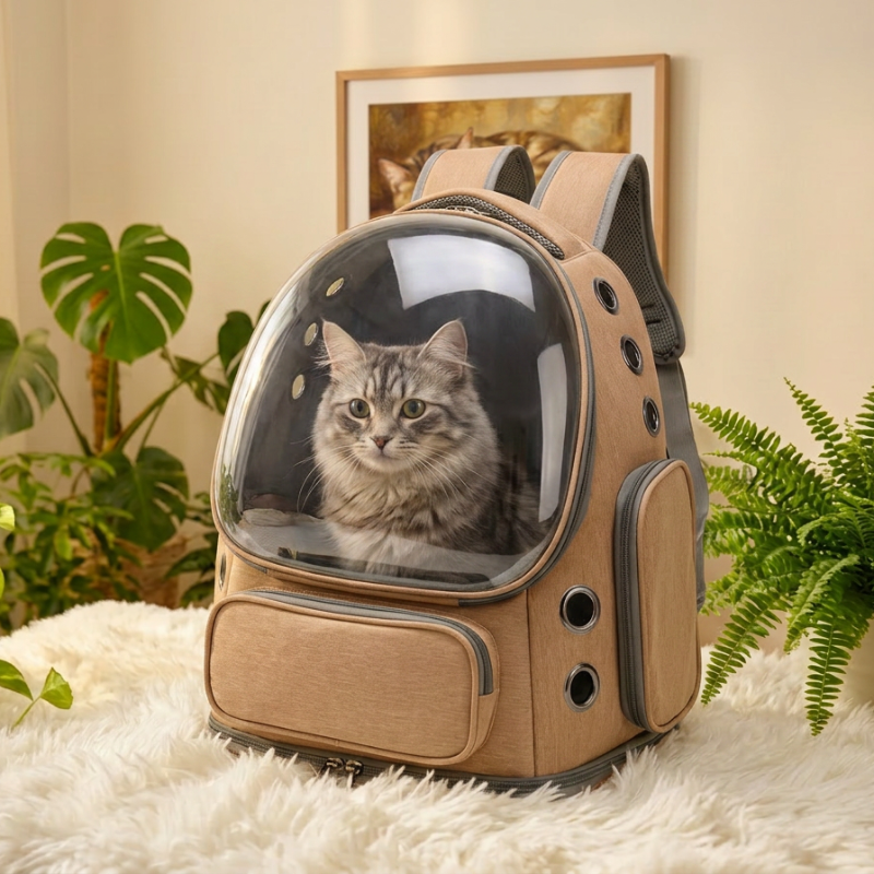 Sac à dos bulle pour chat vu sous différents angles