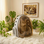 Sac à dos bulle gris marron transparent pour chat