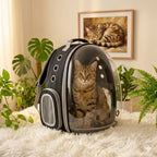 Sac à dos bulle noir transparent pour chat avec fenêtre ronde