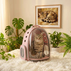Sac à dos bulle rose transparent pour chat