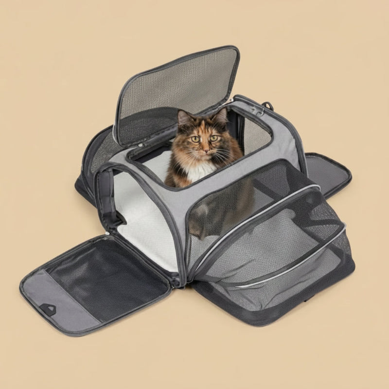 Sac transport pour chat XXL – Grisou