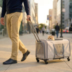 Homme tirant un sac de transport pour chat valise beige à roulettes