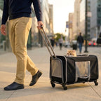 Sac de transport à roulettes pour chat valise noire 4 roues